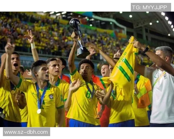 巴西与厄瓜多尔足球对决全面分析及战术解析 巴西与厄瓜多尔足球对决全面分析及战术解析