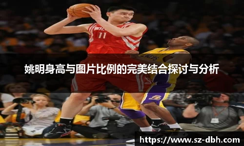 姚明身高与图片比例的完美结合探讨与分析