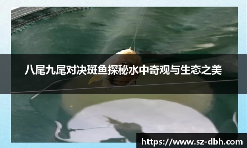彩神vll首页